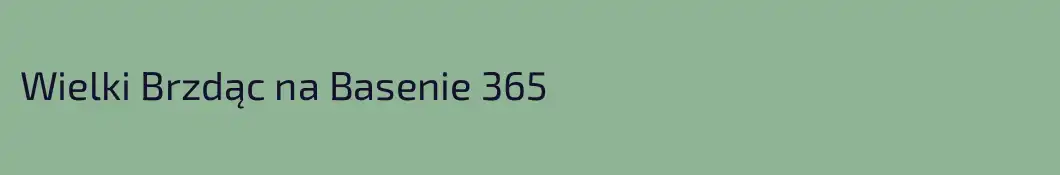 Wielki Brzdąc na Basenie 365
